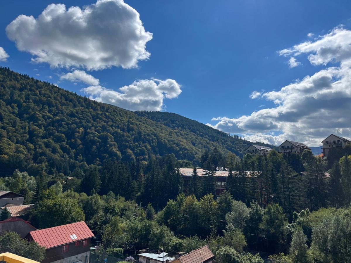 Anissia Apartament Apartman Sinaia Kültér fotó