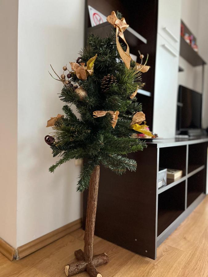 Anissia Apartament Apartman Sinaia Kültér fotó