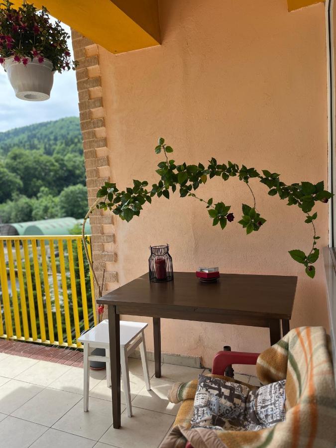 Anissia Apartament Apartman Sinaia Kültér fotó
