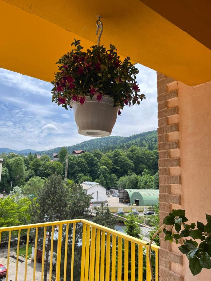 Anissia Apartament Apartman Sinaia Kültér fotó